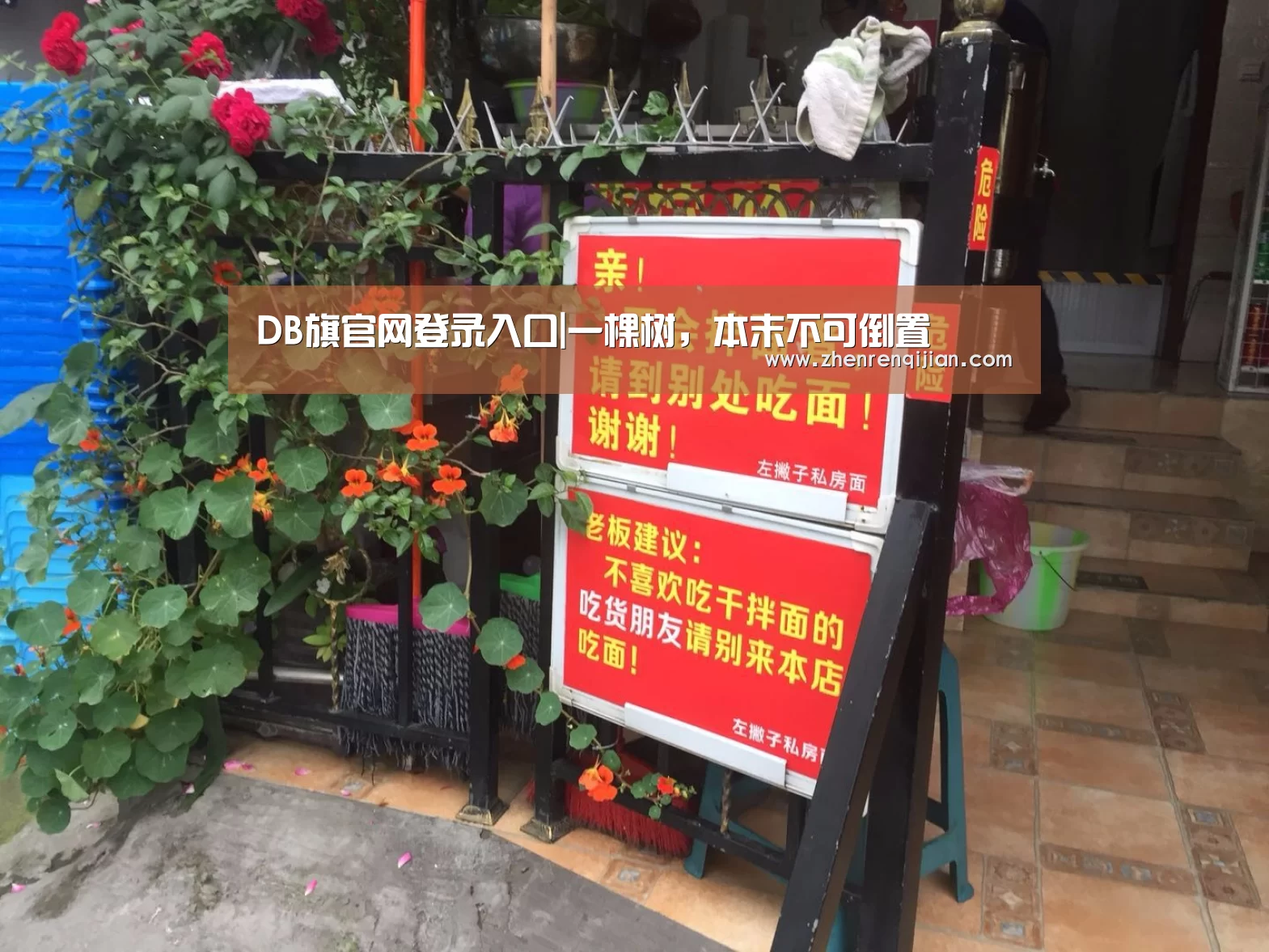 DB中国旗舰官方网站