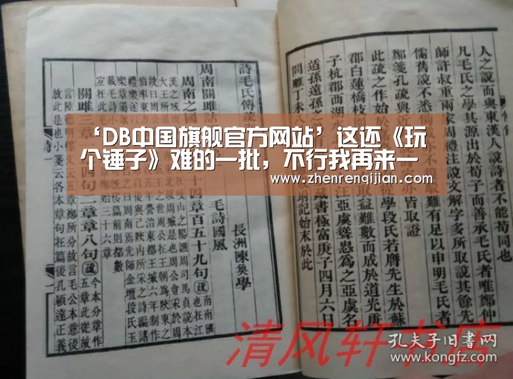 ‘DB中国旗舰官方网站’这还《玩个锤子》难的一批,不行我再来一把!(图1) DB中国旗舰官方网站