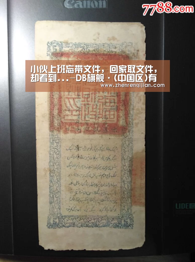 DB旗官网登录入口