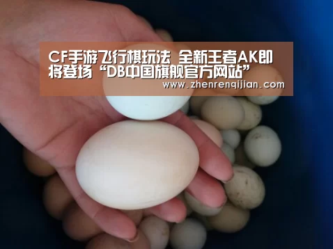 CF手游飞行棋玩法 全新王者AK即将登场“DB中国旗舰官方网站”