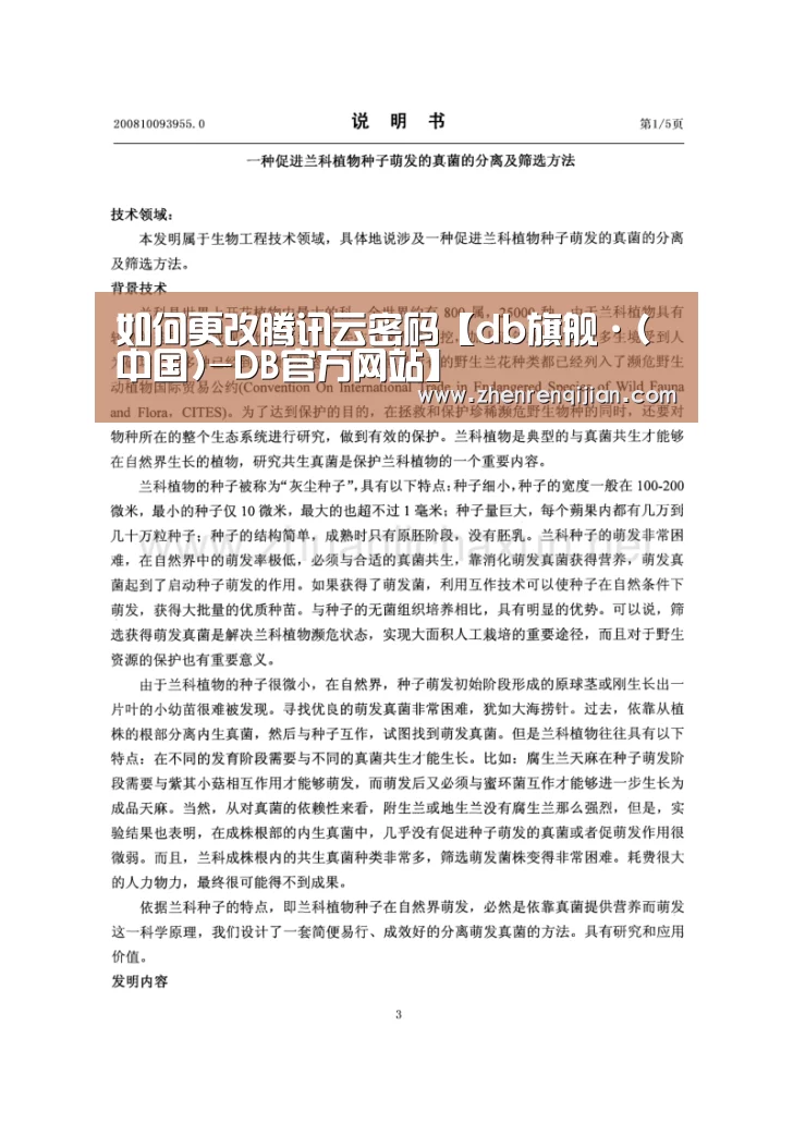 DB旗官网登录入口
