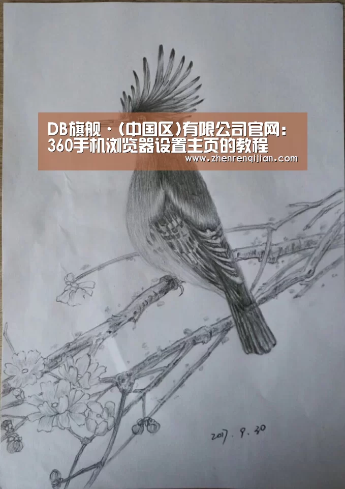 DB旗舰·(中国区)有限公司官网:360手机浏览器设置主页的教程(图2) DB旗舰·(中国区)有限公司官网