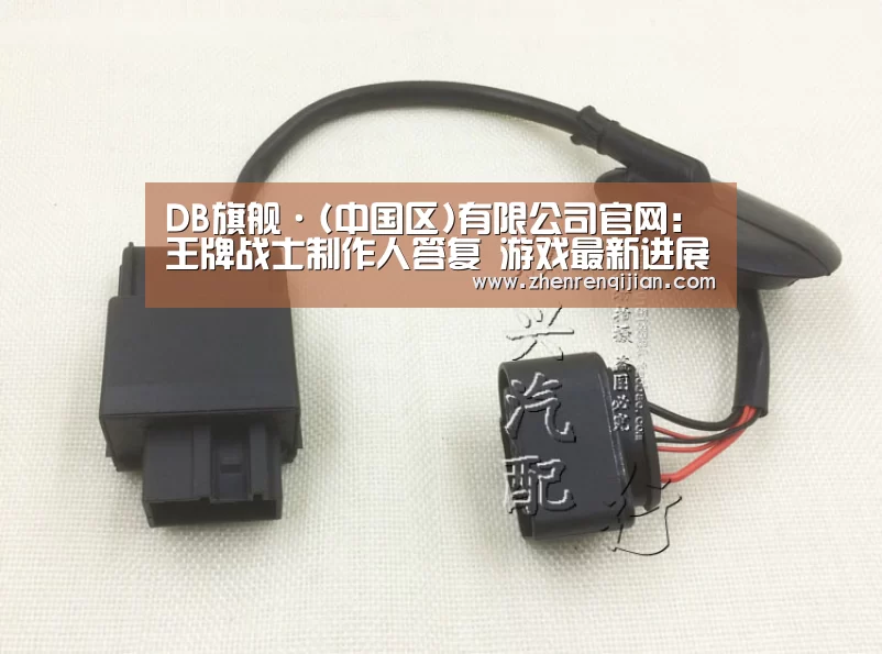 DB旗官网登录入口