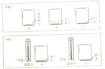 少女整容变马云!一年整容几十次!表示:要跟韩安冉学习,整到老‘DB中国旗舰官方网站’(图1) DB旗舰·(中国区)有限公司官网