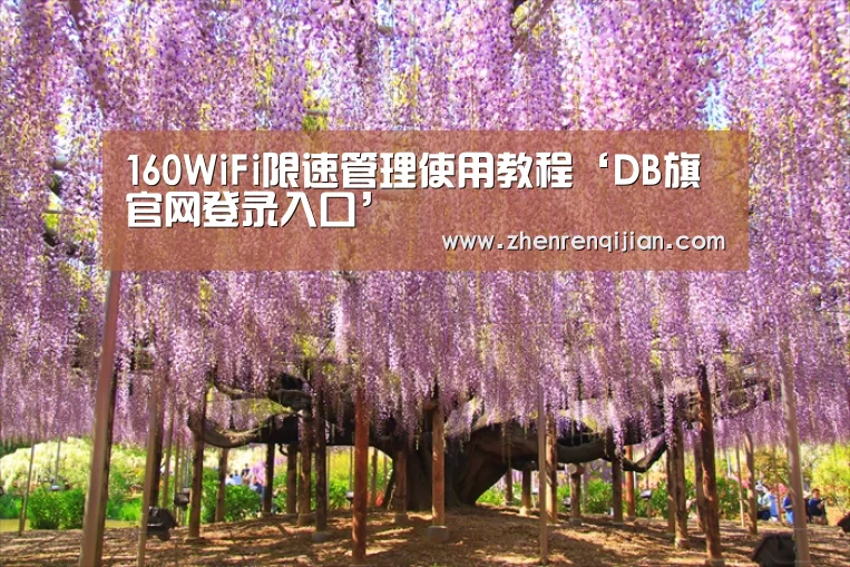 160WiFi限速管理使用教程‘DB旗官网登录入口’(图2) db旗舰·(中国)-DB官方网站