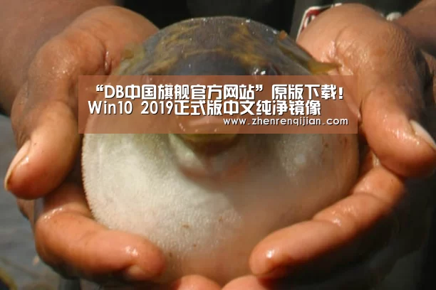 DB旗舰·(中国区)有限公司官网