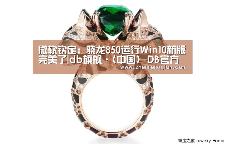 微软钦定:骁龙850运行Win10新版完美了|db旗舰·(中国)-DB官方网站(图3) DB中国旗舰官方网站