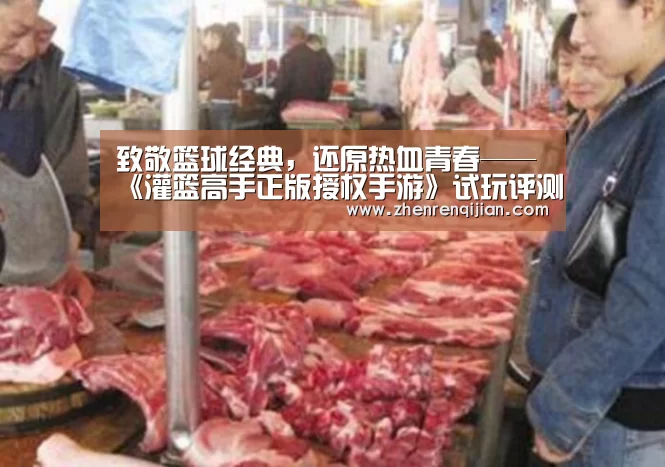 致敬篮球经典,还原热血青春——《灌篮高手正版授权手游》试玩评测:DB旗舰·(中国区)有限公司官网(图1) DB中国旗舰官方网站